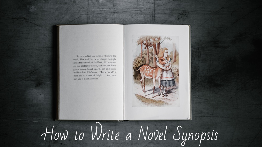  How To Write A Novel Synopsis