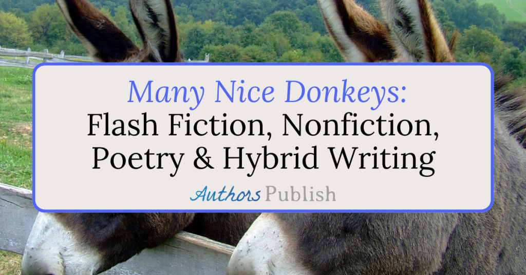 Many Nice Donkeys: Now Seeking Submissions